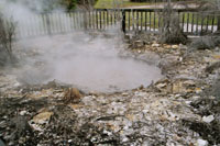 Rotorua